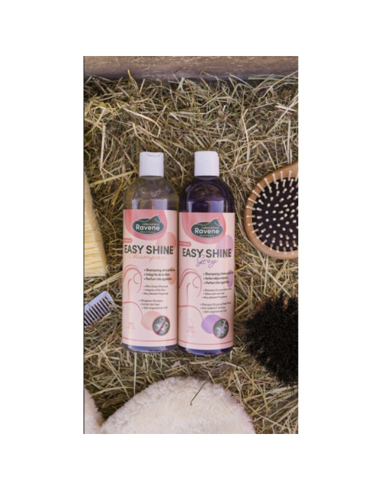Shampoing Easy Shine Grey
