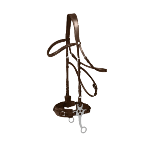 Bridon hackamore Waldhausen 2