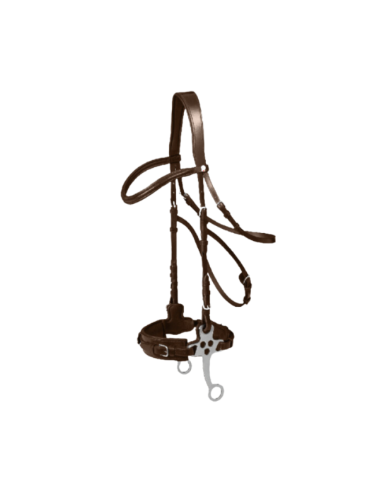 Bridon hackamore Waldhausen