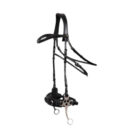 Bridon hackamore Lydney BR