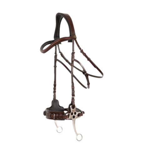 Bridon hackamore Lydney BR 2