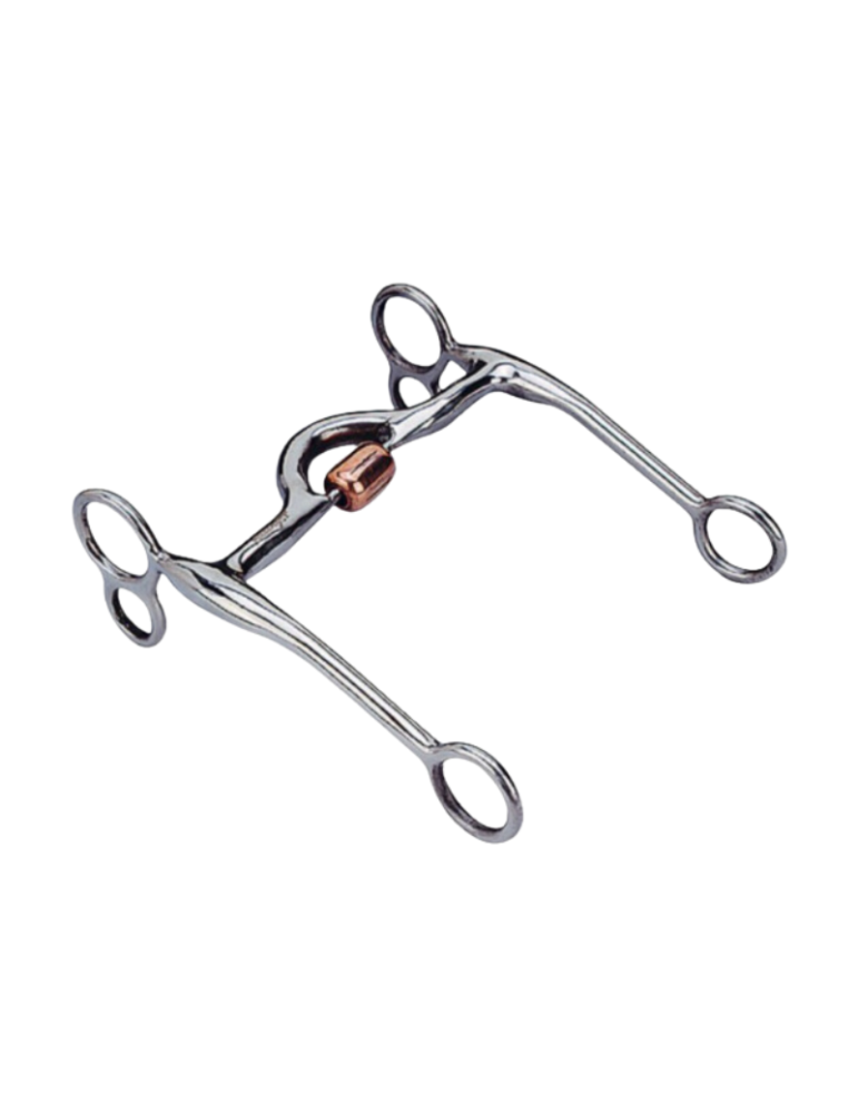 Mors de travail Western