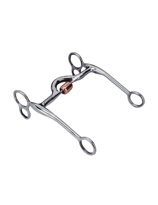 Mors de travail Western