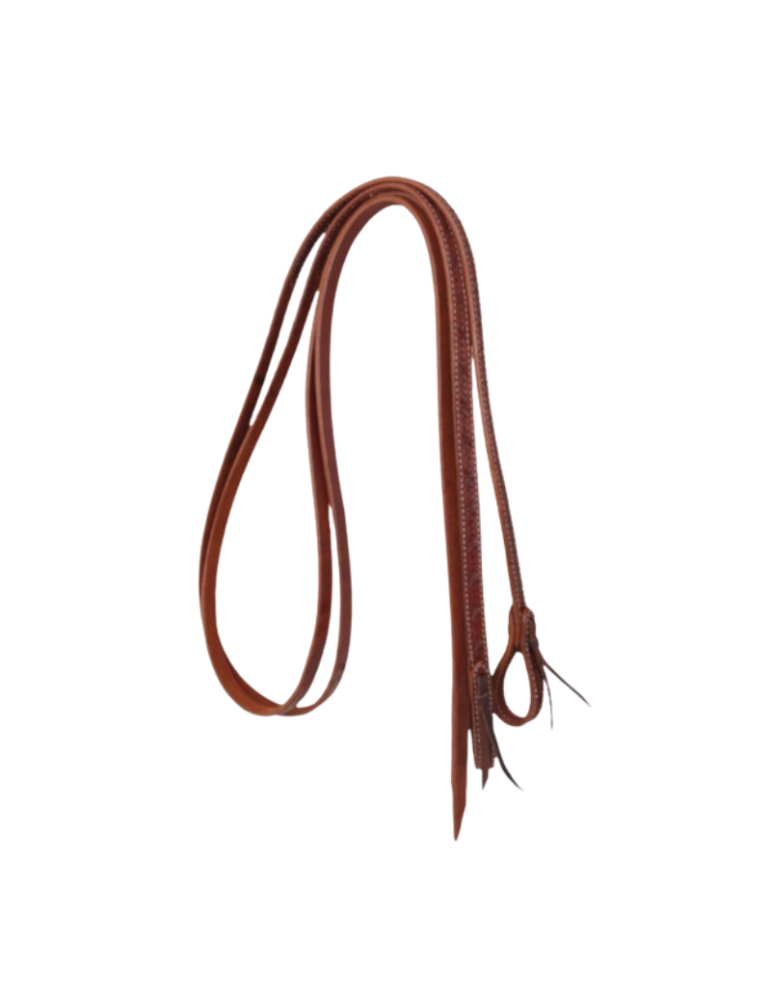 Rênes motifs barbelés Pool's