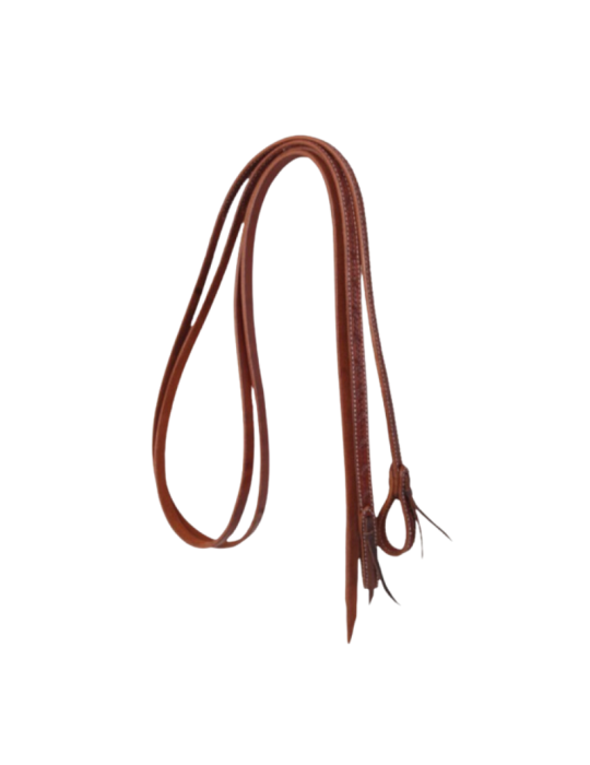 Rênes motifs barbelés Pool's