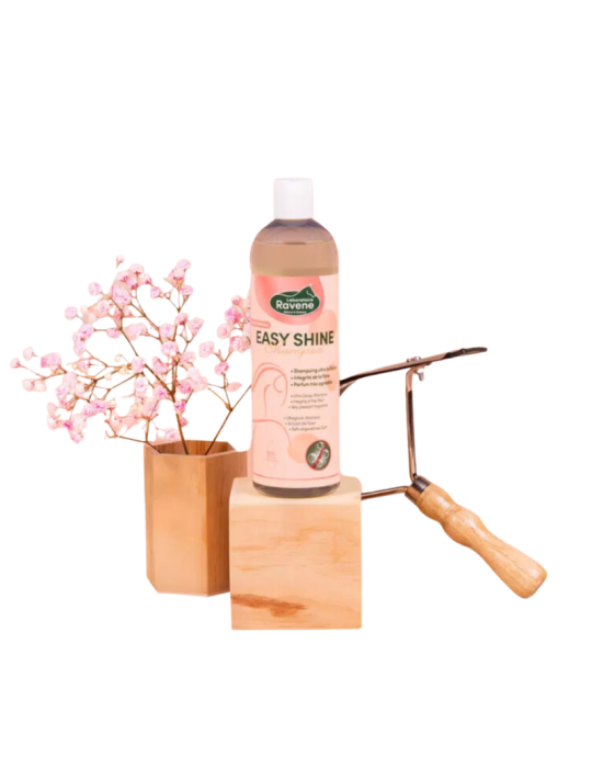 Easy Shine Shampoo