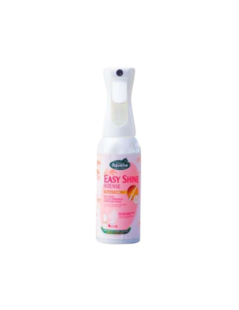 Brumisateur Easy Shine Intense RAVENE