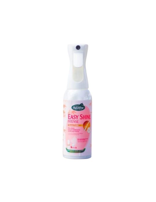 Brumisateur Easy Shine Intense RAVENE