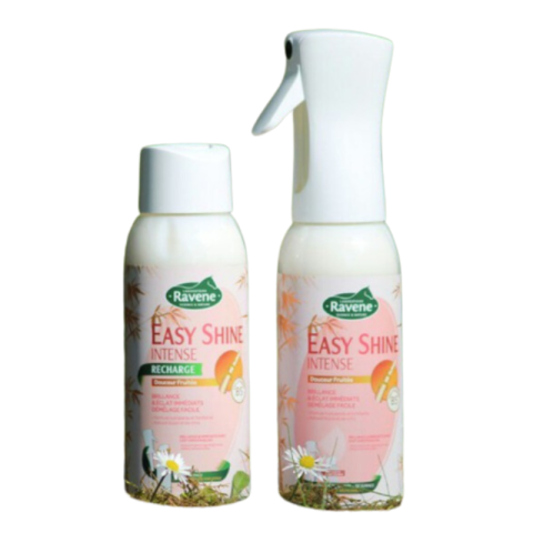 Brumisateur Easy Shine Intense - RAVENE 2