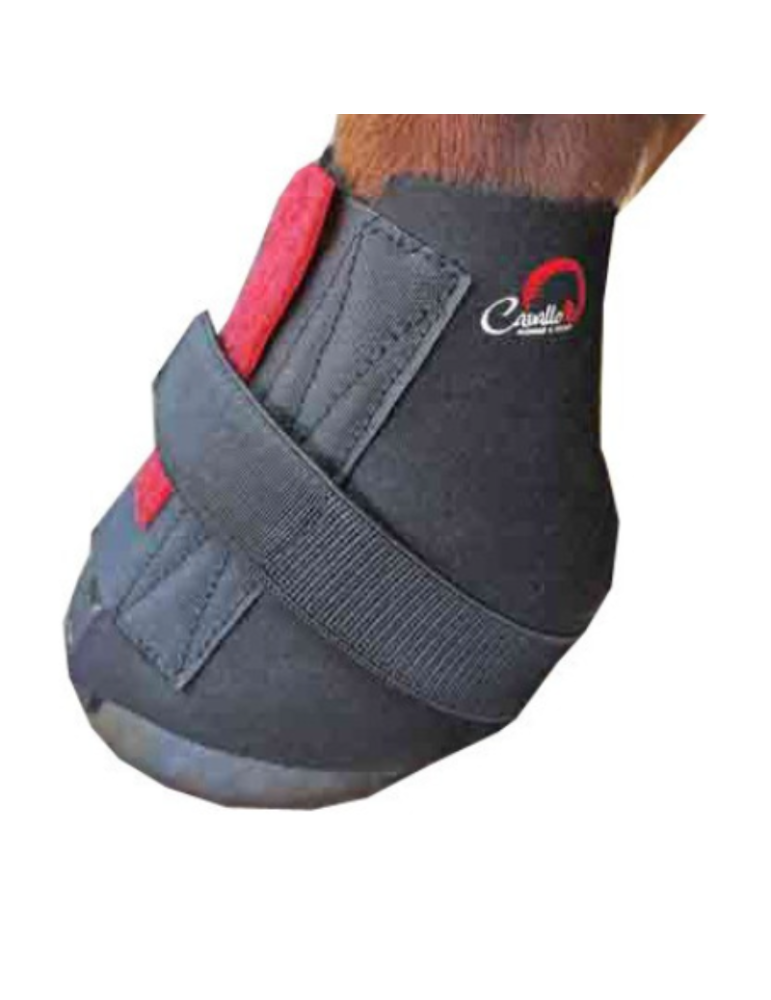 Protège paturons  The Wrap CAVALLO