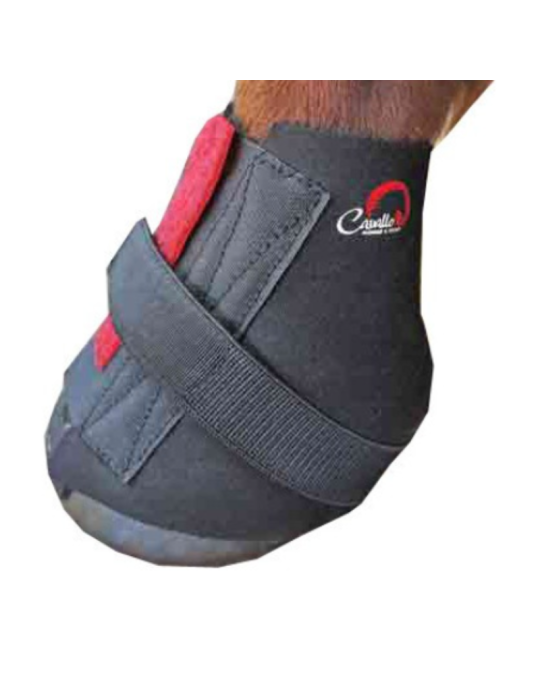 Protège paturons  The Wrap CAVALLO