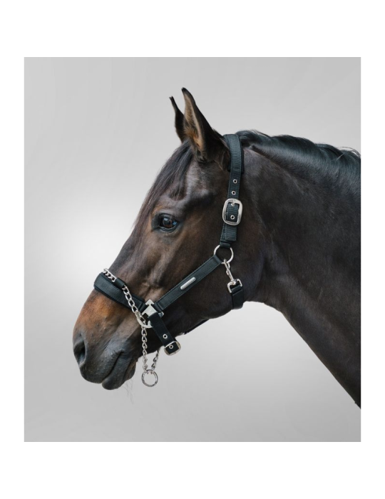 Licol Pro Safety - Waldhausen