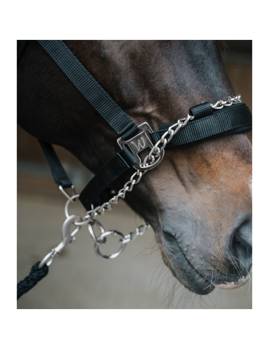 Licol Pro Safety - Waldhausen