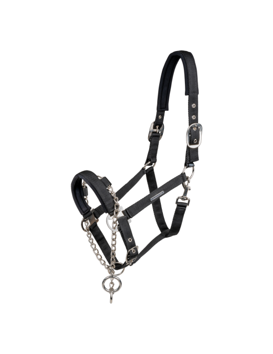 Licol Pro Safety - Waldhausen