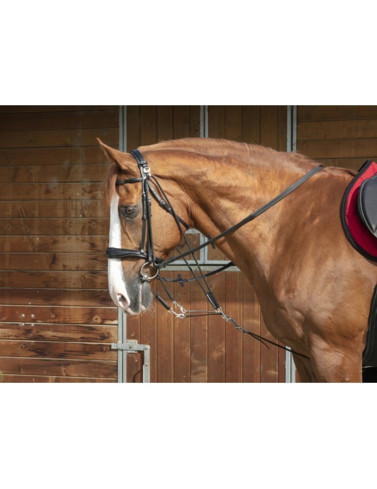 Gogue à poulies NORTON PRO