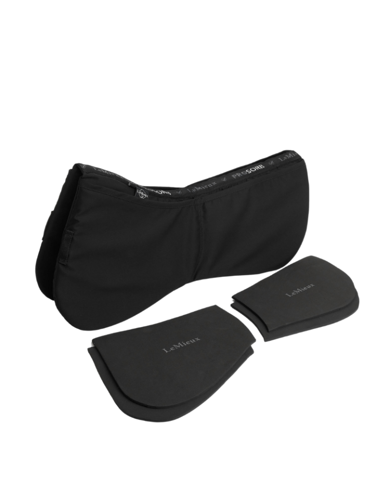 Amortisseur ProSorb LEMIEUX