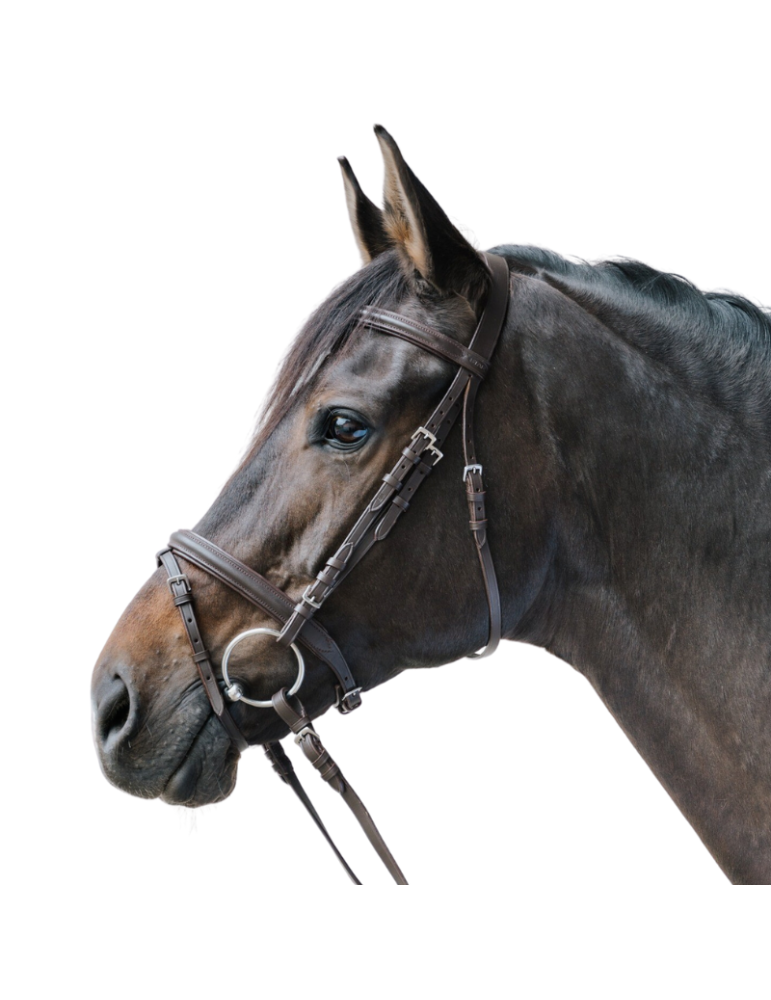 Bridon Lifestyle - STAR