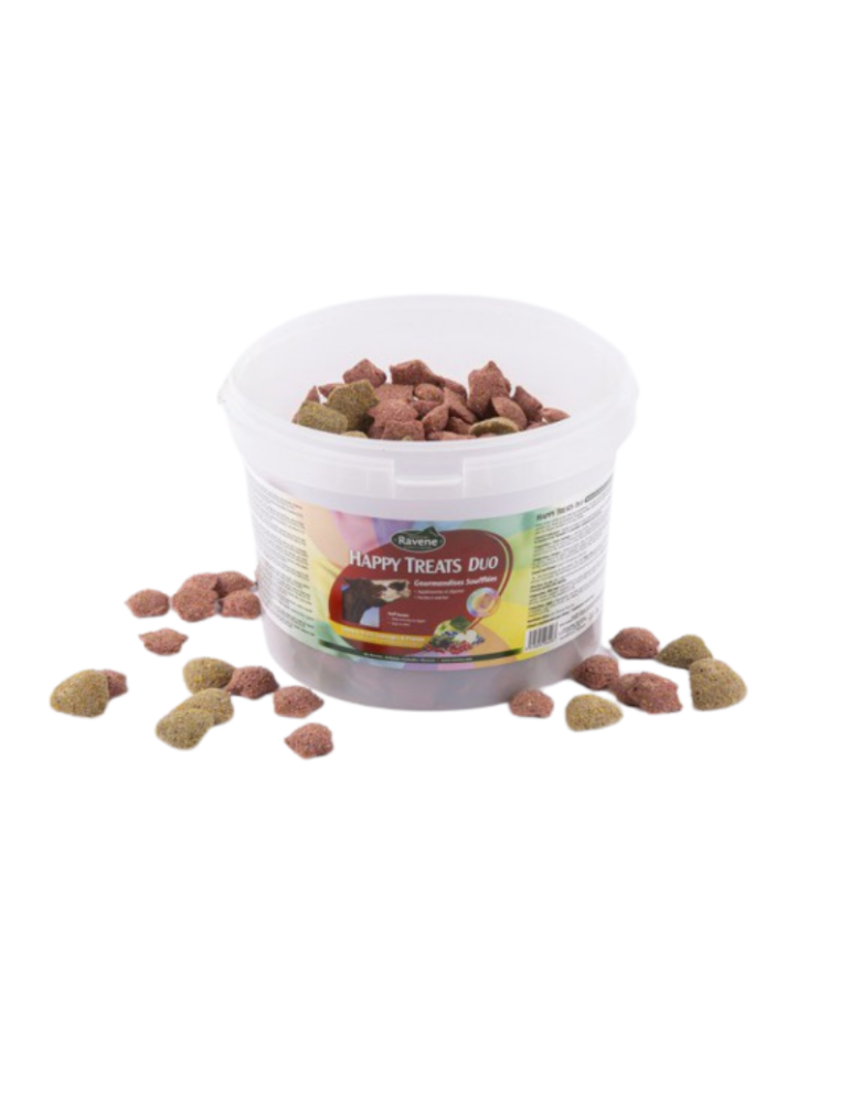 Friandises Happy Treats Duo