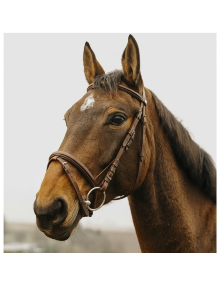 Bridon Square NORTON