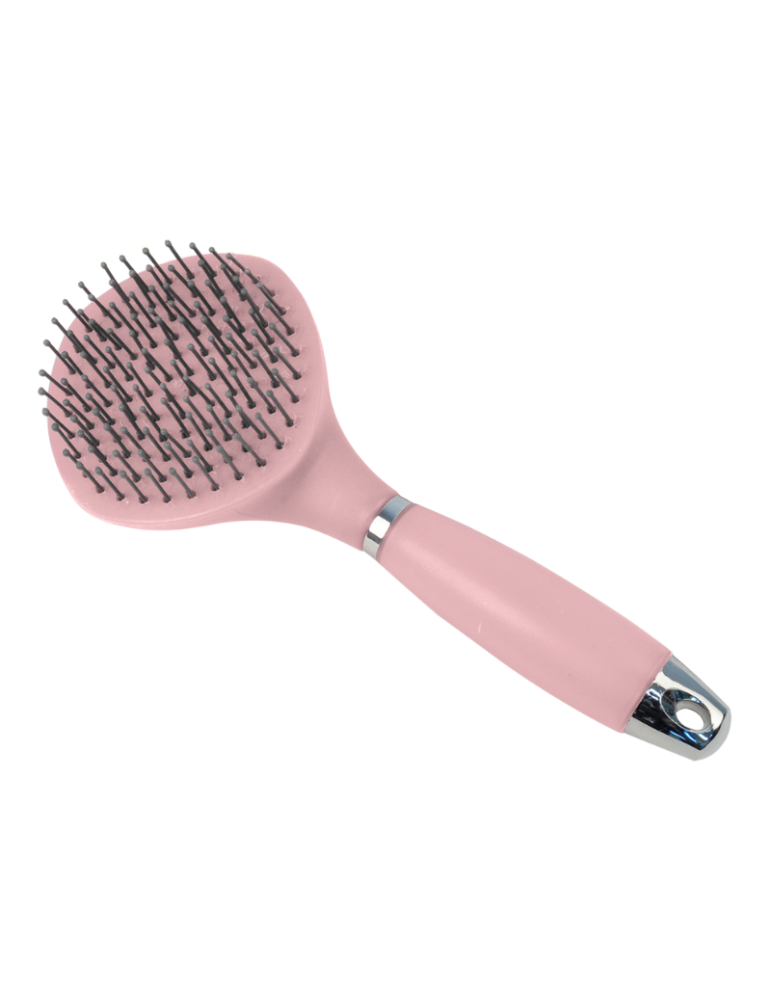 Brosse à crins WALDHAUSEN