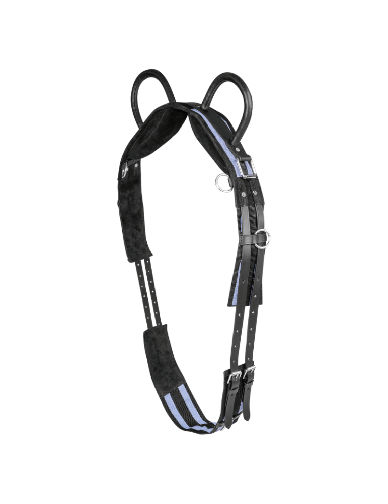 Surfaix à deux poignées