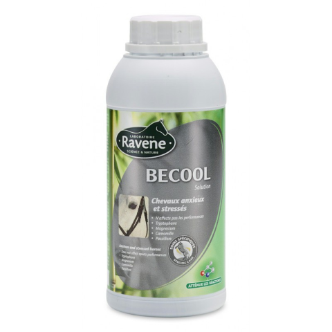 Becool solution - RAVENE