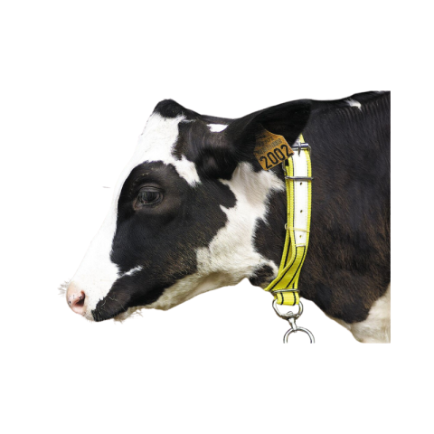 Collier veau en nylon UKAL