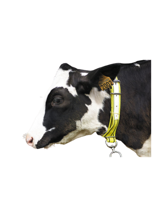 Collier veau en nylon KAMER