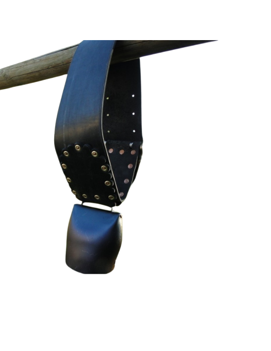 Cloche Chamonix montée