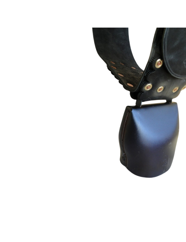 Cloche Chamonix montée