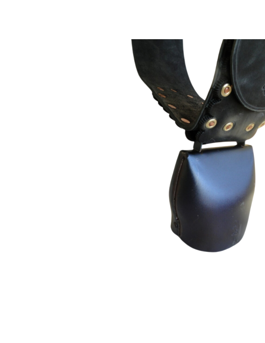 Cloche Chamonix montée