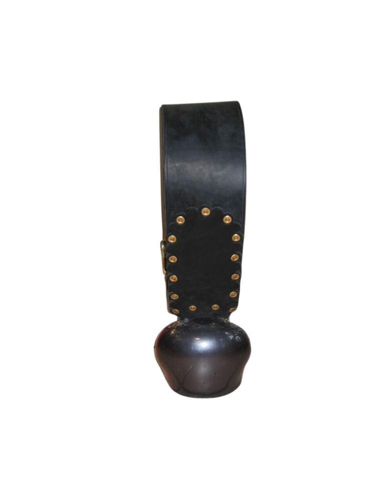 Cloche Premana Varonne montée, boucle fer