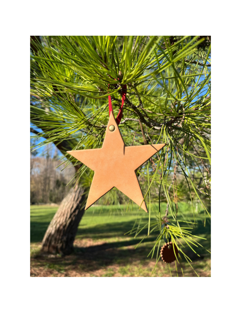 Décoration de Noël "Etoile" - SB
