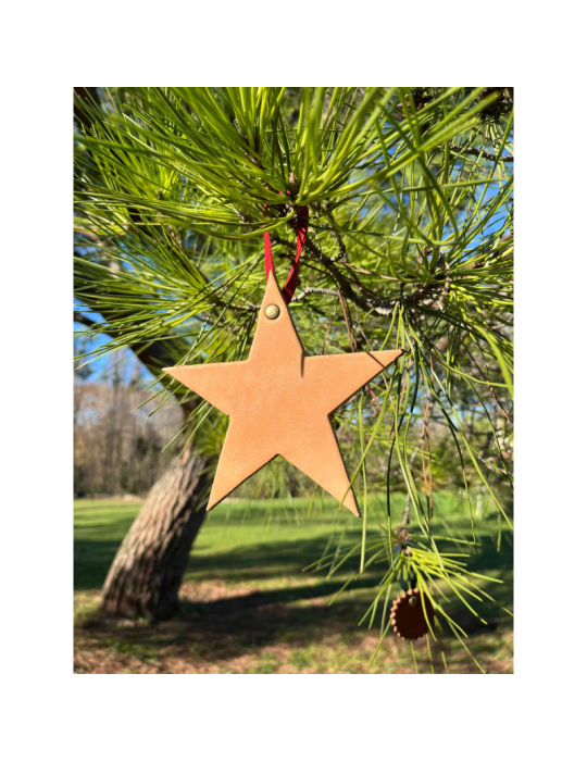 Décoration de Noël "Etoile" - SB