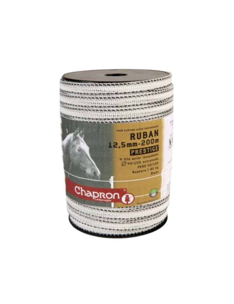 Ruban prestige 12.5 mm CHAPRON