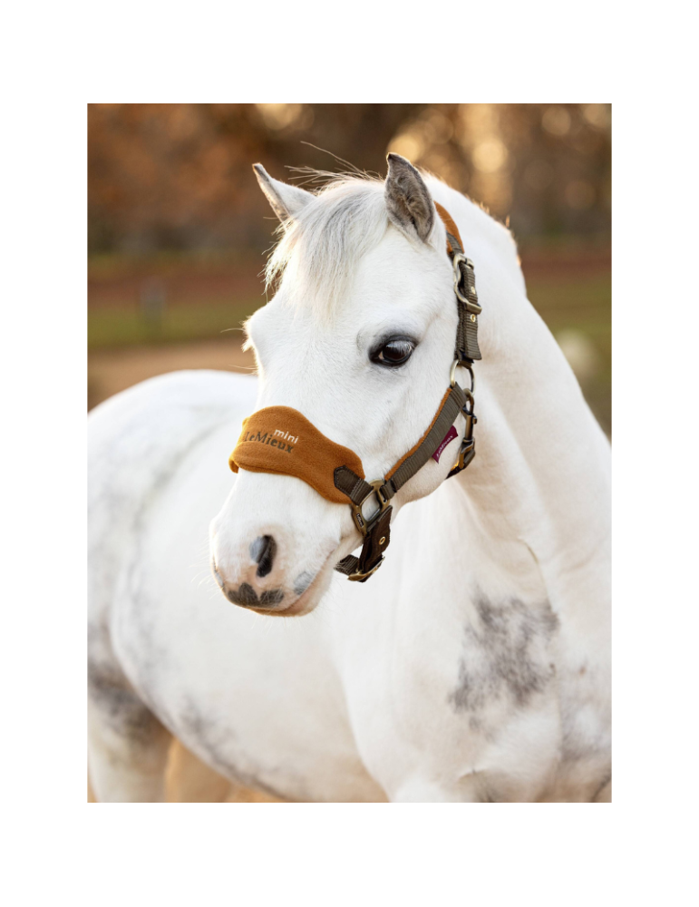 Mini Licol Vogue LEMIEUX