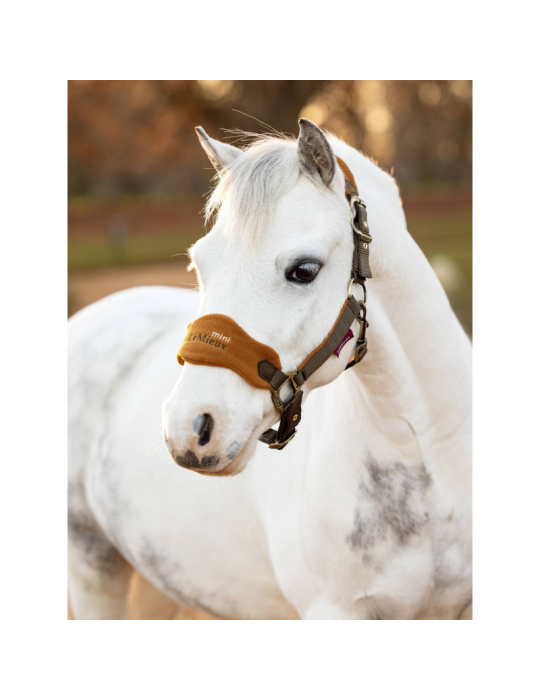 Mini Licol Vogue LEMIEUX