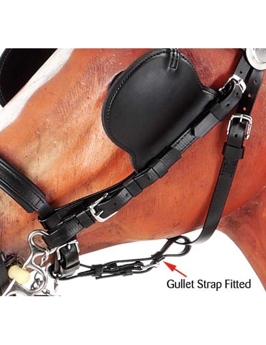 Alliance anti débridement