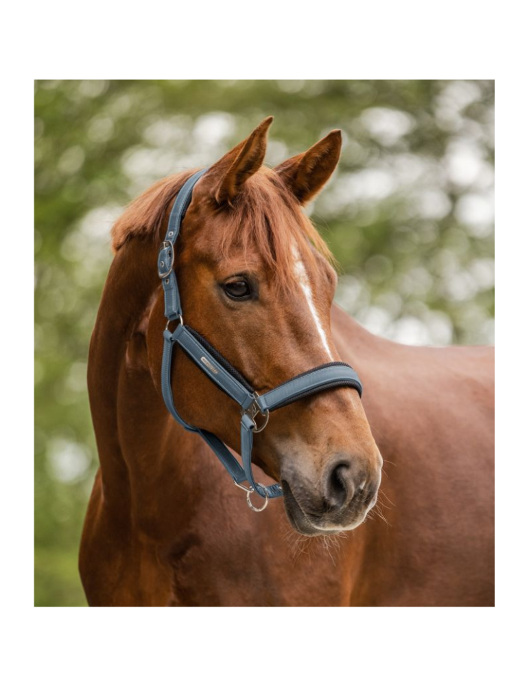 Licol Breath WALDHAUSEN