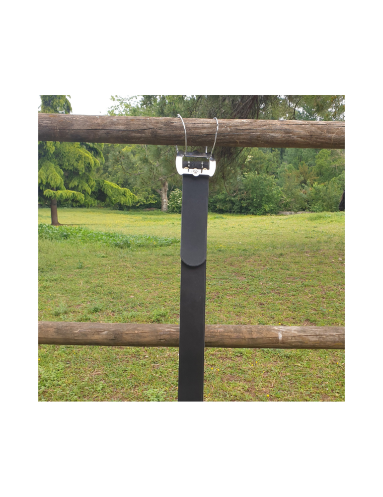 Collier en cuir pour génisse avec boucle en inox