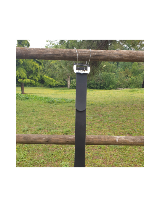 Collier en cuir pour génisse avec boucle en inox