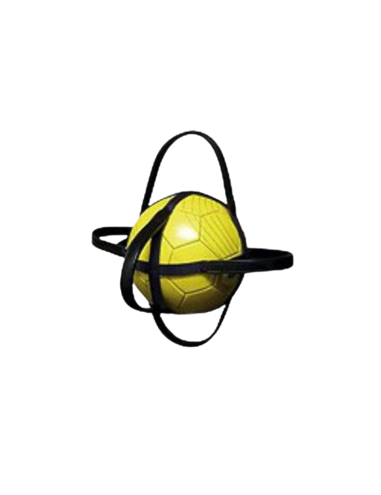 Enveloppe ballon de horse ball