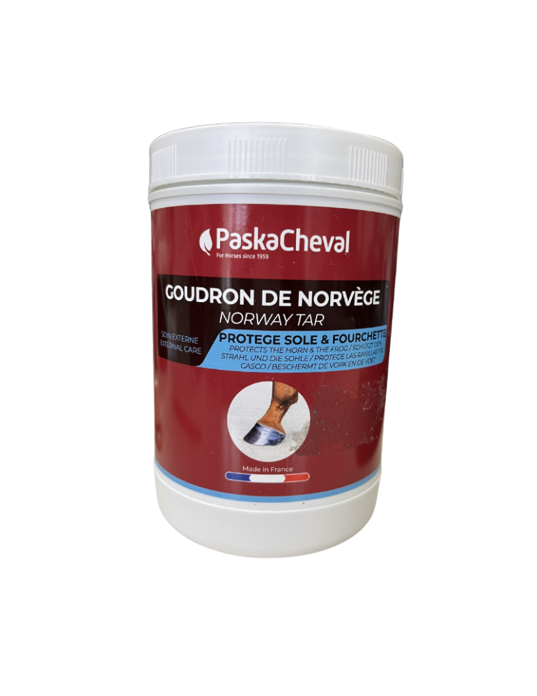 Goudron de Norvège Paskacheval