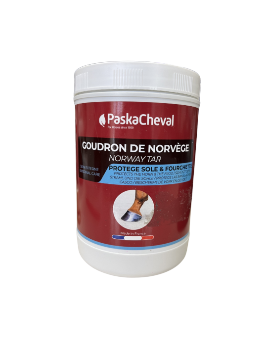 Goudron de Norvège Paskacheval