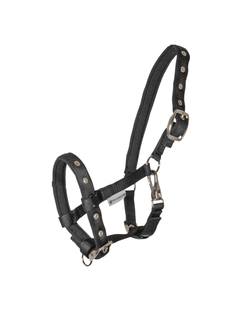 Licol poulain "confort" WALDHAUSEN