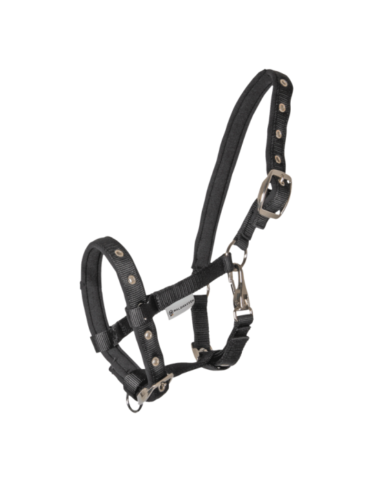 Licol poulain "confort" WALDHAUSEN