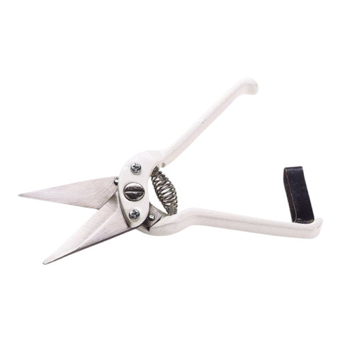 Cisaille onglons mouton