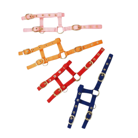 Licol Poulain réglable "Mini"