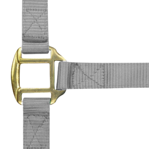 Licol nylon doublé cuir COB 2