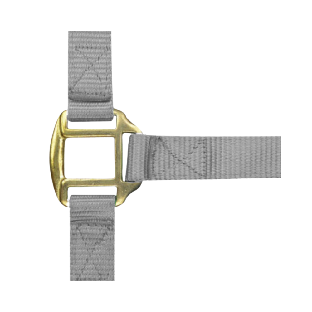 Licol nylon doublé cuir COB